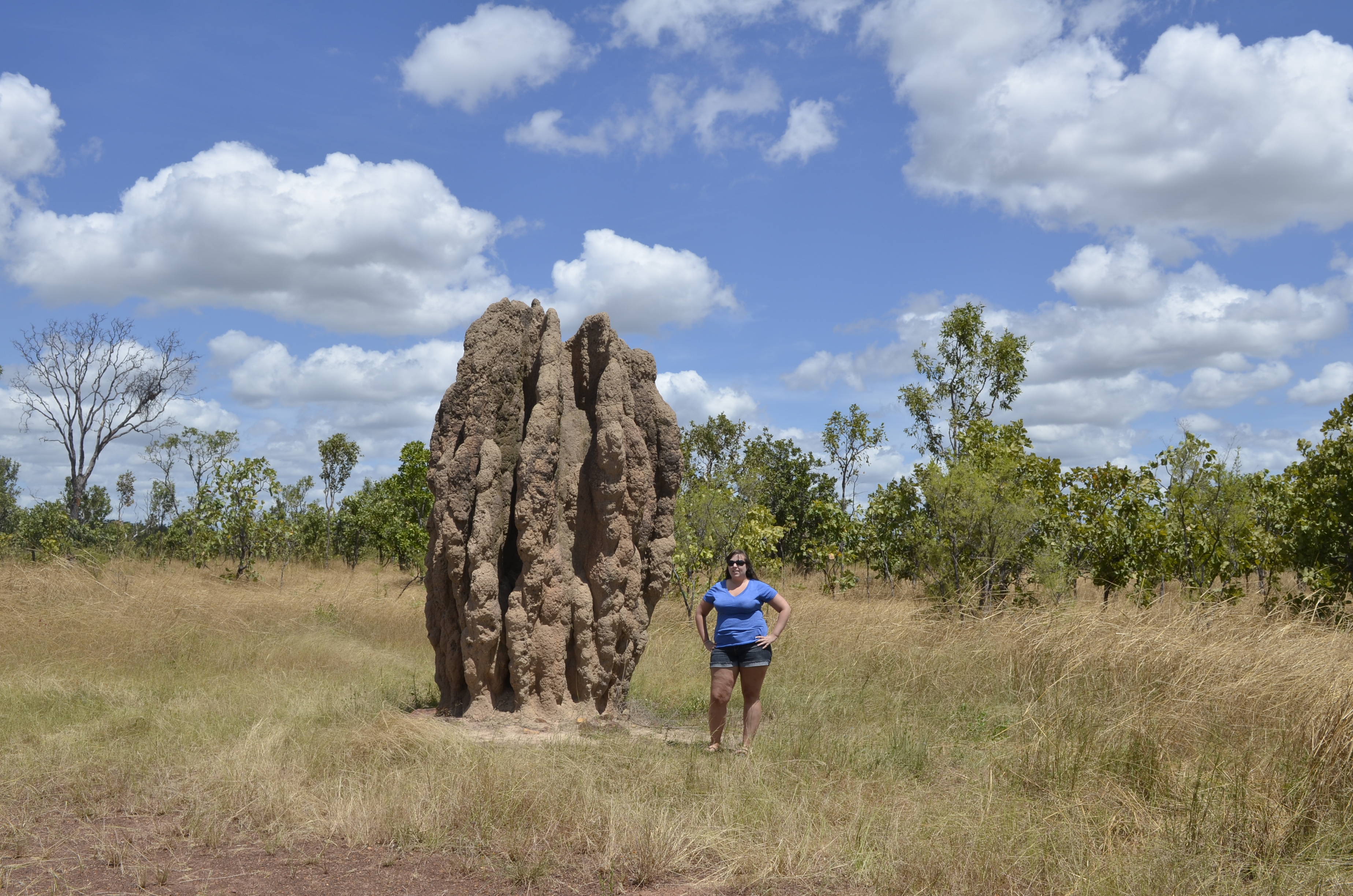 cailin and termite mound