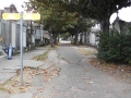 Another look at Lafayette Cemetery #1