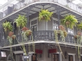 French Quarter